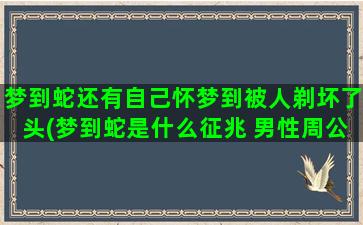 梦到蛇还有自己怀梦到被人剃坏了头(梦到蛇是什么征兆 男性周公解梦)